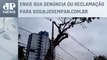 Moradores pedem poda emergencial de paineira centenária nos Campos Elíseos | SOS São Paulo