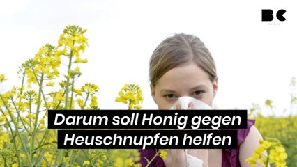 Darum soll Honig gegen Heuschnupfen helfen