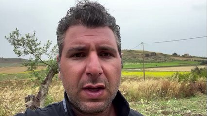 La pioggia allaga i campi, allevamenti senza foraggio