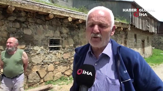 Çekirgeler köyü istila etti! Evlerin içine kadar girdiler