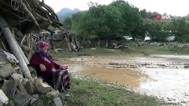 Sağanak yağış çeltik arazilerine zarar verdi