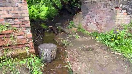 ТАИНСТВЕННАЯ УСАДЬБА