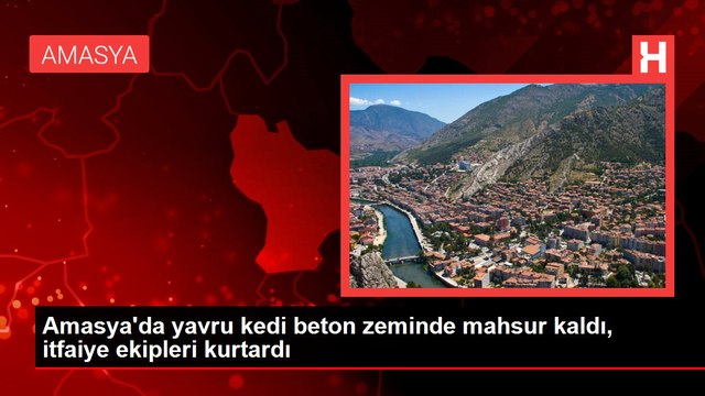 Amasya'da yavru kedi beton zeminde mahsur kaldı, itfaiye ekipleri kurtardı