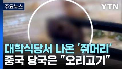 中 대학 식당서 쥐머리 나왔는데...현대판 '지록위마' / YTN