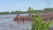 House floats down Dnipro river after Kakhovka dam attack floods nearby town