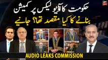 What is the purpose of setting up the Audio Leaks Commission?