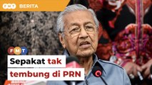 Penyokong Proklamasi Orang Melayu sepakat tak tembung di PRN, kata Dr M