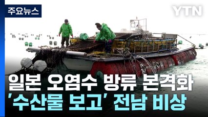 '수산물 보고' 전남 비상...방류 철회 강력 촉구 / YTN