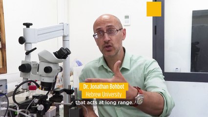 Scientists have developed a super repellent that can stop 99% of mosquitos from biting your skin