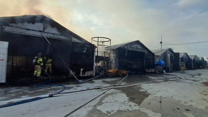 충북 음성군 양계장에 불...닭 천여 마리 폐사 / YTN