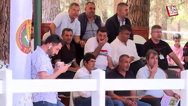 TİGEM, 46 tay satarak 10 milyon 480 bin lira gelir elde etti