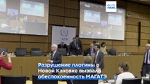 МАГАТЭ: угрозы Запорожской АЭС нет