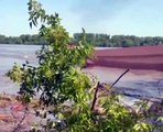 Casa flutua no rio Dniepre após destruição de barragem. As imagens