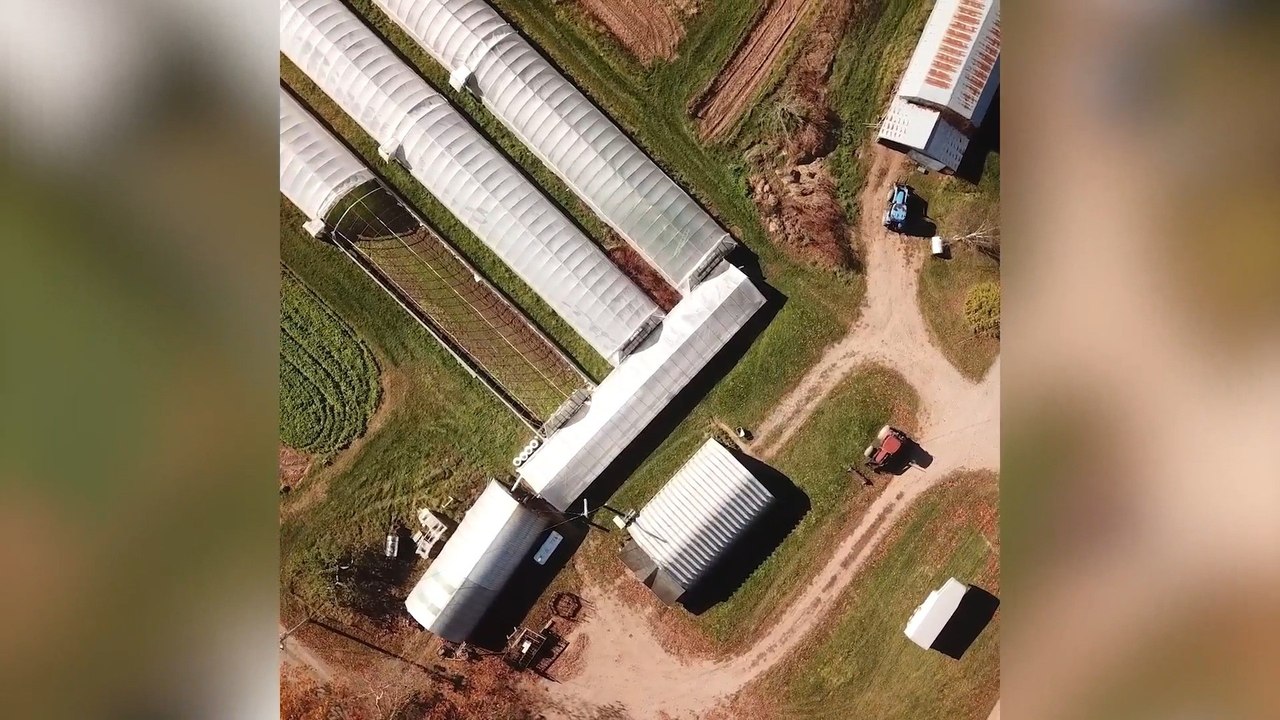 La ferme mixte : Marchés communautaires
