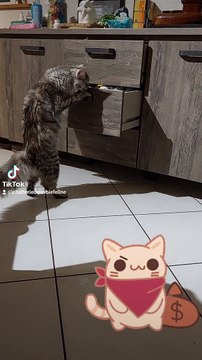 La voleuse de la maison. Tyrika. Besoin de cours pour voler Tyrika est là