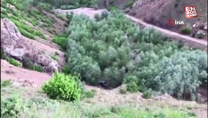 Gümüşhane'de uçuruma yuvarlanan kamyonette 1 kişi öldü