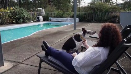 Australiana condenada por muerte de sus cuatro hijos indultada gracias a la ciencia