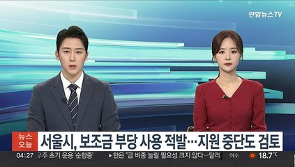 서울시, 보조금 부당사용 적발…지원 중단도 검토