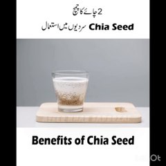 Benefits of chia seeds