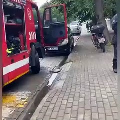 Foram chamados para cão em perigo... afinal, estava a pregar uma partida