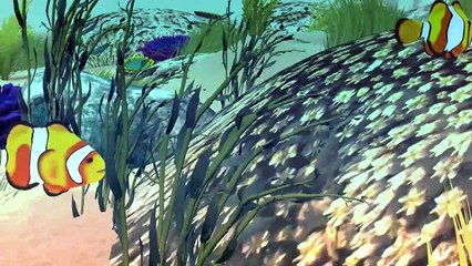 A Grande Barreira de Corais