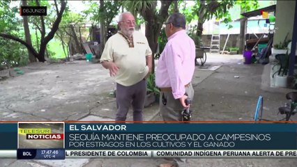 El Salvador: Campesinos expresan su preocupación por los cultivos y ganados ante la grave sequía