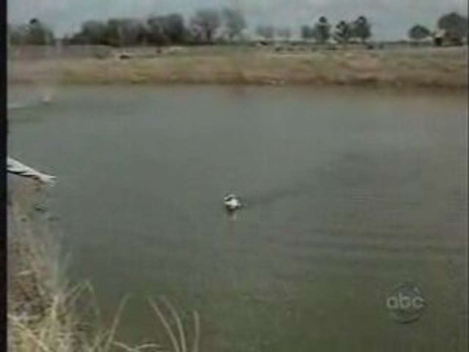 Fishing Boat