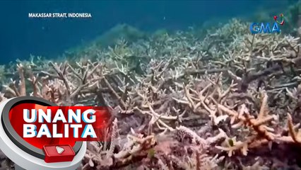 35, inireklamo kaugnay sa oil spill mula sa lumubog na M/T Princess Empress | UB