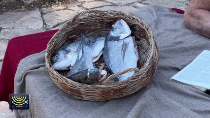 God of Miracles #6: Our Daily Bread