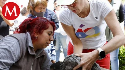 Lía Limón entrega kits de gallinas a 12 colonias de Álvaro Obregón en la CdMx