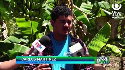 Diriomo, la bendición de los productores por sus tierras fértiles