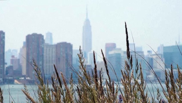 Fumaça de incêndios florestais do Canadá chega a Nova York