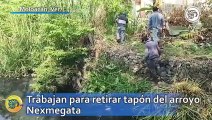 Trabajan para retirar tapón del arroyo Nexmegata ¡Buscan protegerlos de desbordamientos!