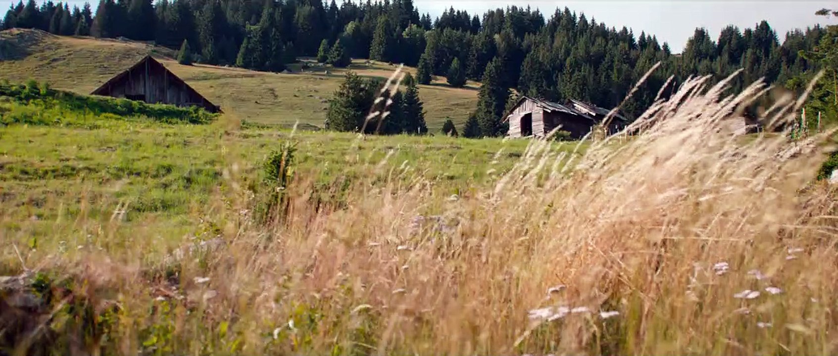 Die einfachen Dinge | movie | 2023 | Official Trailer