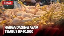 Harga Daging Ayam Naik, Cuaca dan Harga Pakan jadi Penyebab