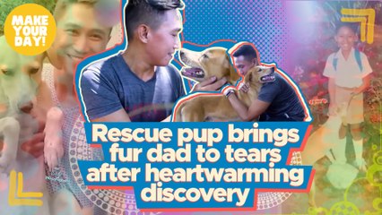 Rescue pup brings fur dad to tears after heartwarming discovery | Make Your Day