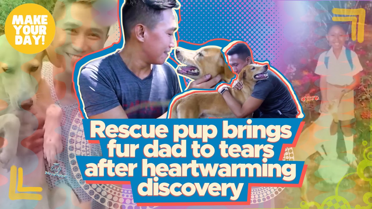 Rescue pup brings fur dad to tears after heartwarming discovery | Make Your Day