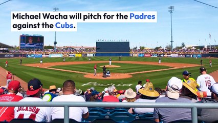 Twins vs rays Can Be Fun For Anyone