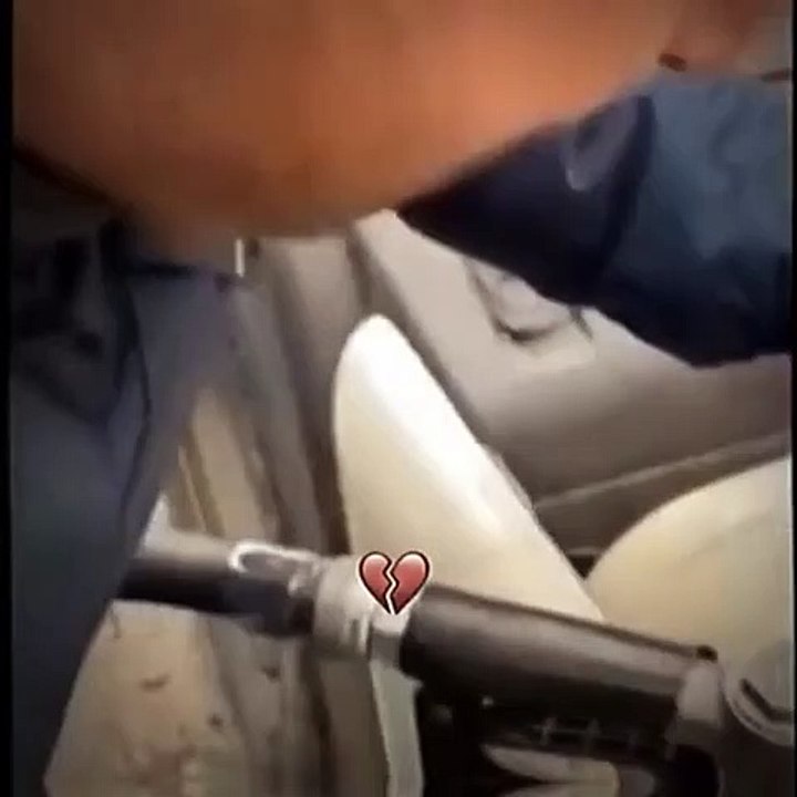 WOW funny clip
