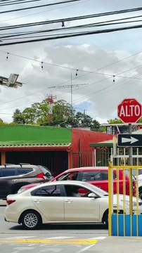 Birds Swoops From Behind at Passersby