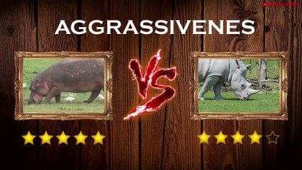 Hippo VS Rhino - Rhino VS Hippo REAL Fight - Tough Creatures