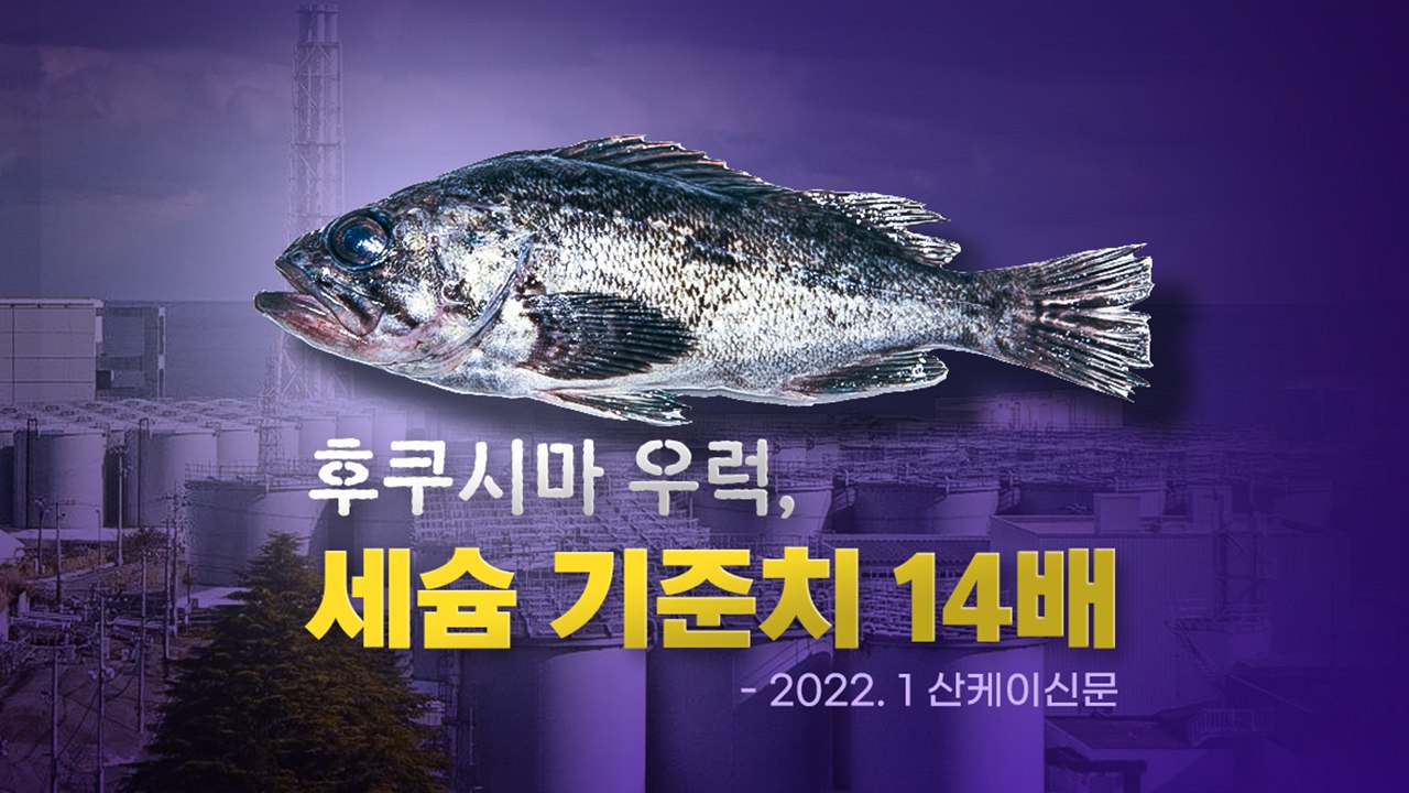 오염수 방류 한달 전...또 '세슘 우럭' 발견 [앵커리포트] / YTN