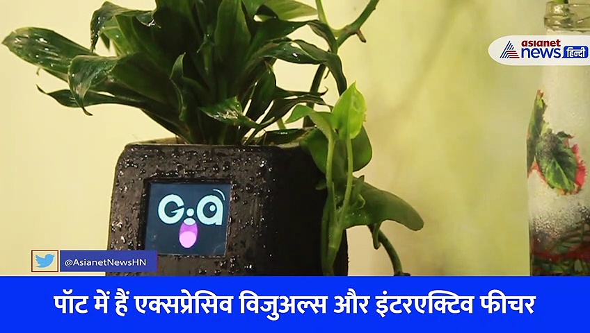 GIA Smart Pot: अब पौधे खुद मांगेंगे पानी और आपका अकेलापन भी होगा दूर, आपका दिल जीत लेगा ये पॉट, देखें Video