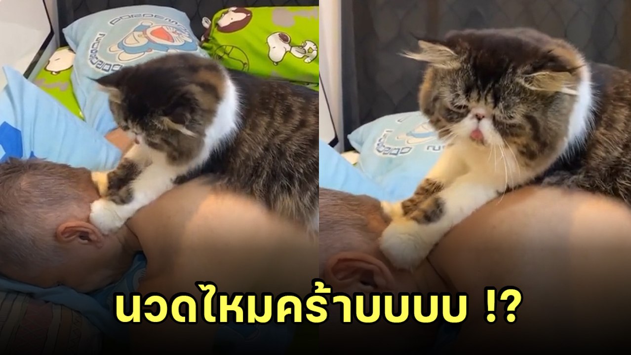 เอ็นดู.. ไอ้ต้าวหมอนวดที่น่ารักที่สุดในโลก คิวต์จนเป็นไวรัล