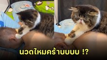 เอ็นดู.. ไอ้ต้าวหมอนวดที่น่ารักที่สุดในโลก คิวต์จนเป็นไวรัล