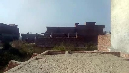 Masoan mistree hard work on go