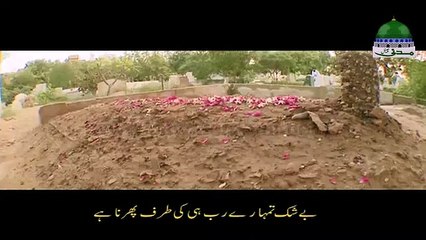 Tilawat e Quran - Surah Al-Alaq