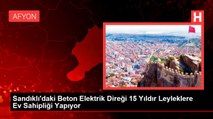 Sandıklı'daki Beton Elektrik Direği 15 Yıldır Leyleklere Ev Sahipliği Yapıyor