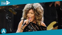 Tina Turner : Son immense maison en Suisse dédiée à ses fans ? Le projet un peu fou de son mari dévo