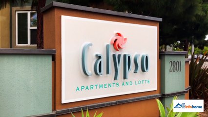 Calypso Apartments And Lofts: Contact, Pricing, Location, Apartment Features & More